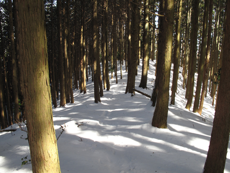 20140211hike (86)